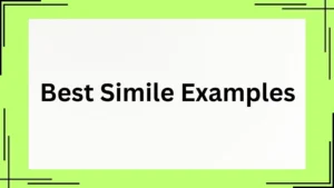 Read more about the article 50+ Best Simile Examples You Need to Know<div class="last-updated" style="font-size:14px; font-weight:bold; color:#444; background:#f5f5f5; padding:10px; border-radius:5px; margin-top:10px; margin-bottom:20px;">
                 Last updated: May 13, 2025 at 3:22 pm by Charles
            </div>
