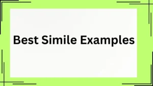 Read more about the article 50+ Best Simile Examples You Need to Know<div class="last-updated" style="font-size:14px; font-weight:bold; color:#444; background:#f5f5f5; padding:10px; border-radius:5px; margin-top:10px; margin-bottom:20px;">
                 Last updated: May 2, 2025 at 3:41 pm by Charles
            </div>