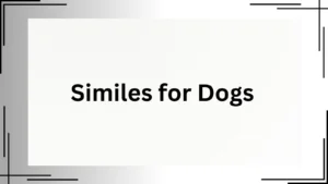 Read more about the article 25+ Similes for Dogs That Capture Their True Spirit<div class="last-updated" style="font-size:14px; font-weight:bold; color:#444; background:#f5f5f5; padding:10px; border-radius:5px; margin-top:10px; margin-bottom:20px;">
                 Last updated: April 30, 2025 at 7:06 am by Charles
            </div>