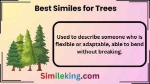 Read more about the article 25+ Best Similes for Trees (With Examples!)<div class="last-updated" style="font-size:14px; font-weight:bold; color:#444; background:#f5f5f5; padding:10px; border-radius:5px; margin-top:10px; margin-bottom:20px;">
                 Last updated: April 30, 2025 at 7:26 am by Charles
            </div>