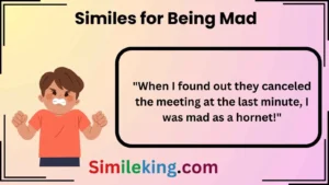 Read more about the article 25+ Similes for Being Mad That Pack a Punch<div class="last-updated" style="font-size:14px; font-weight:bold; color:#444; background:#f5f5f5; padding:10px; border-radius:5px; margin-top:10px; margin-bottom:20px;">
                 Last updated: April 30, 2025 at 7:31 am by Charles
            </div>