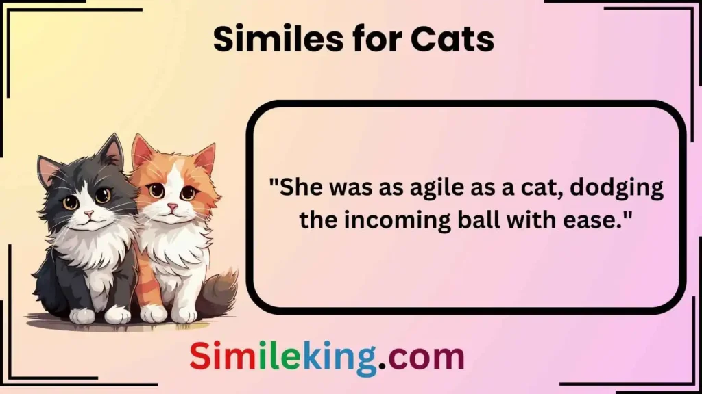 Similes for Cats