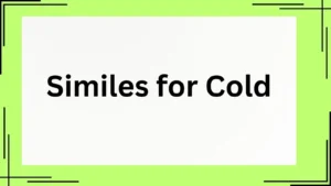 Read more about the article 25+ Similes for Cold That Chill to the Bone<div class="last-updated" style="font-size:14px; font-weight:bold; color:#444; background:#f5f5f5; padding:10px; border-radius:5px; margin-top:10px; margin-bottom:20px;">
                 Last updated: May 2, 2025 at 3:41 pm by Charles
            </div>