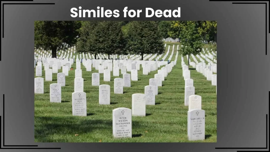 Similes for Dead