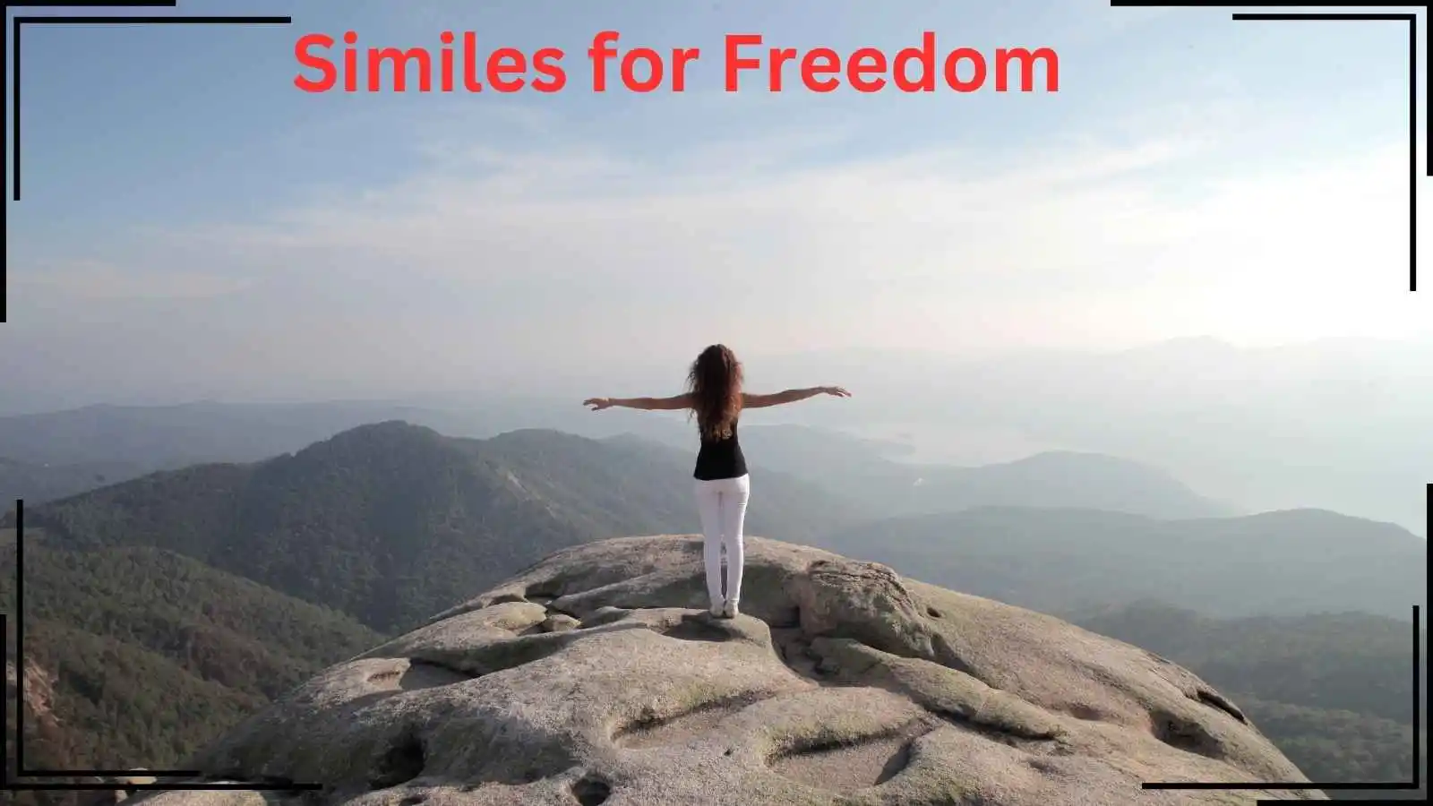 Similes for Freedom