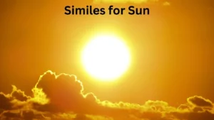 Read more about the article 10+ Similes for Sun: Creative Ways to Describe the Sun’s Brilliance<div class="last-updated" style="font-size:14px; font-weight:bold; color:#444; background:#f5f5f5; padding:10px; border-radius:5px; margin-top:10px; margin-bottom:20px;">
                 Last updated: April 9, 2025 at 5:35 am by Charles
            </div>