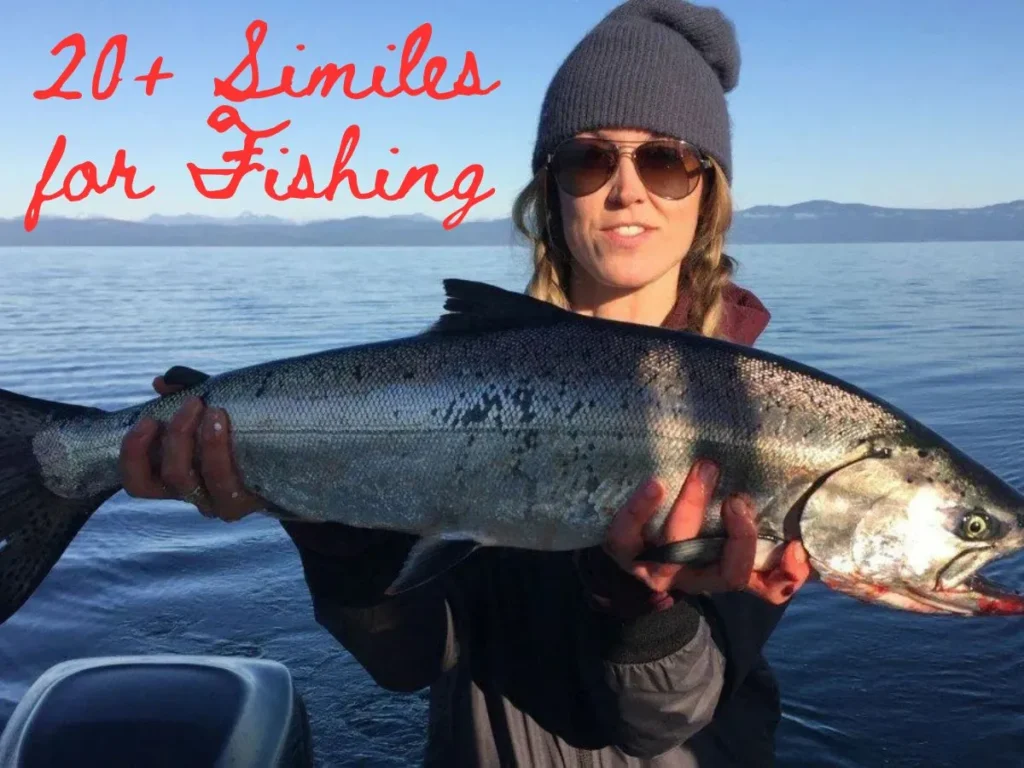 20+ Similes for Fishing