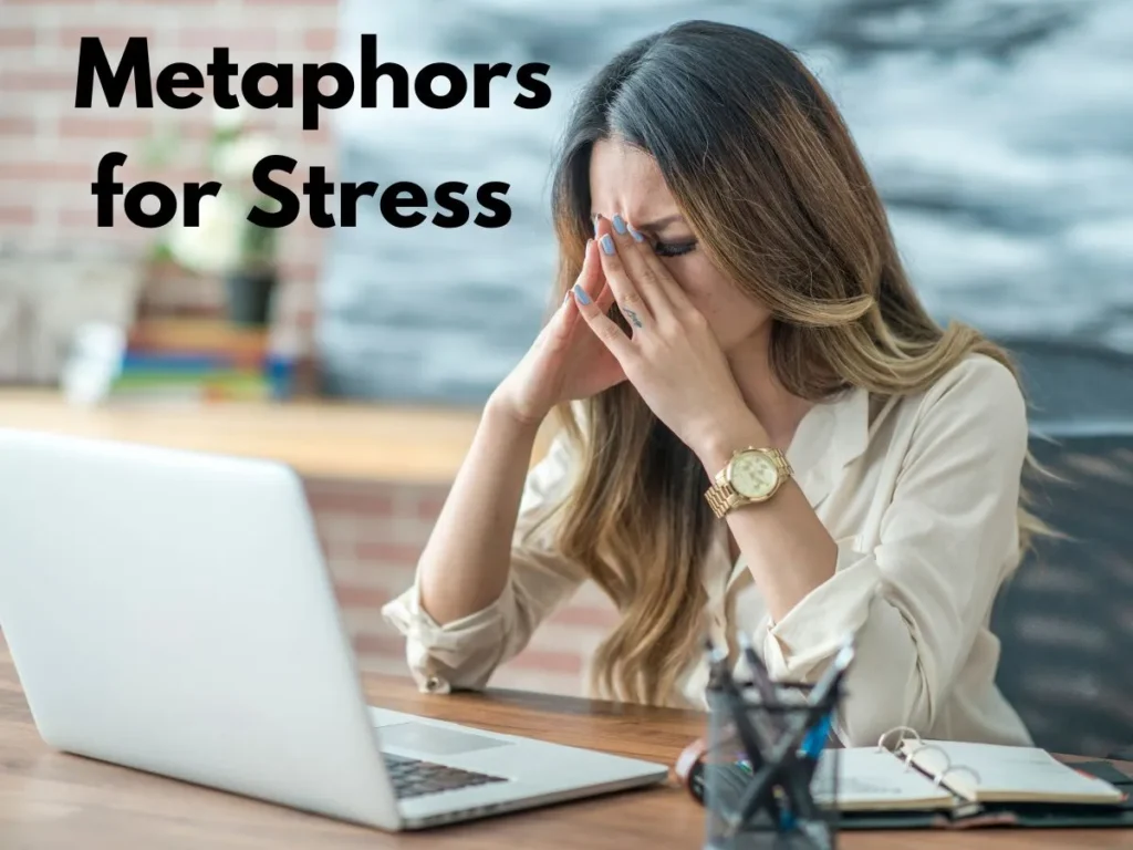 Metaphors for Stress
