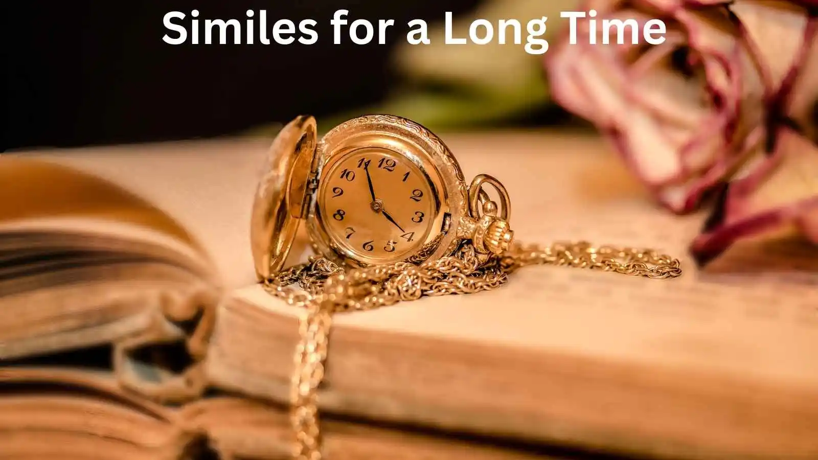 Read more about the article 10+ Similes for a Long Time: Creative Ways to Express Duration