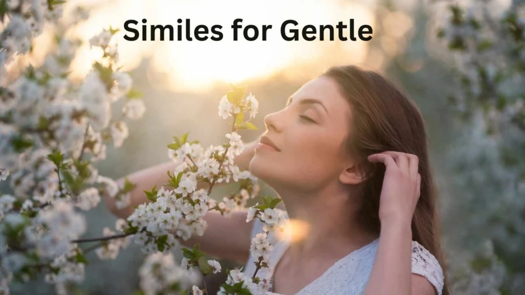 Similes for Gentle