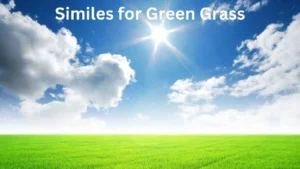 Read more about the article 25+ Similes for Green Grass