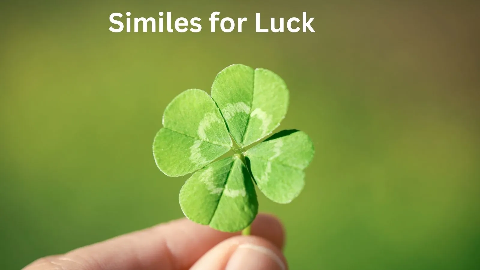 Read more about the article 15+ Similes for Luck