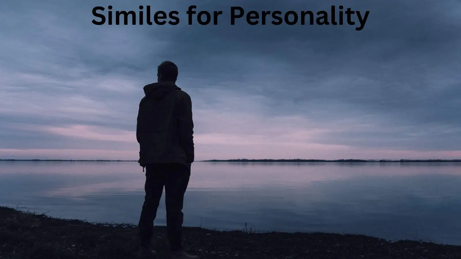 Read more about the article 10+ Similes for Personality