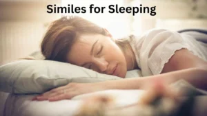 Read more about the article Similes for Sleeping<div class="last-updated" style="font-size:14px; font-weight:bold; color:#444; background:#f5f5f5; padding:10px; border-radius:5px; margin-top:10px; margin-bottom:20px;">
                 Last updated: March 20, 2025 at 4:10 am by Charles
            </div>