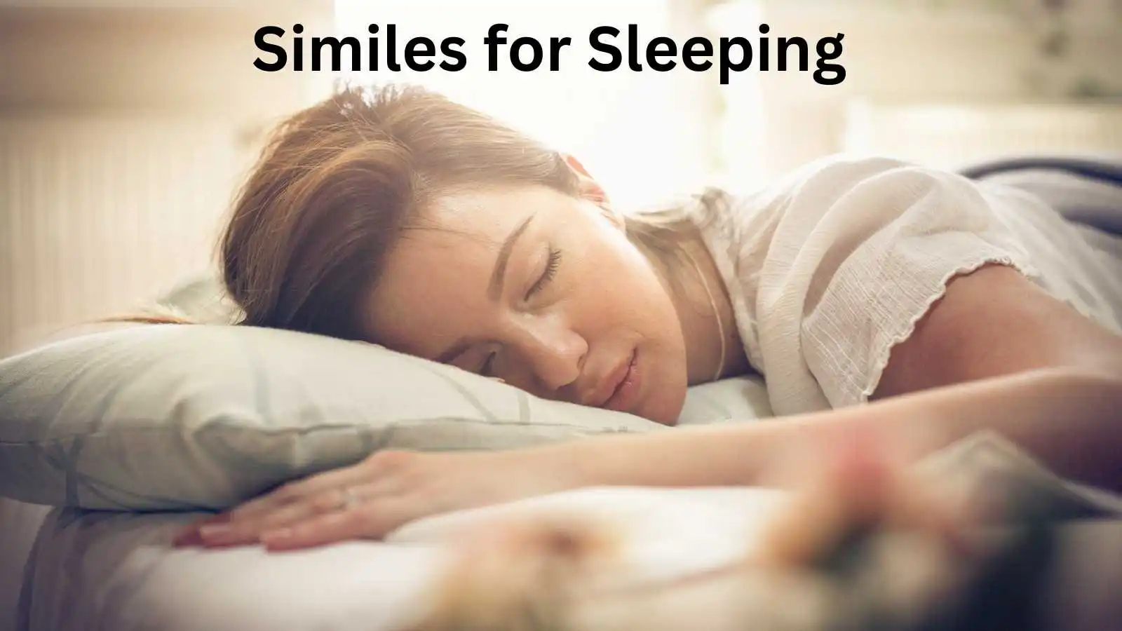 Similes for Sleeping