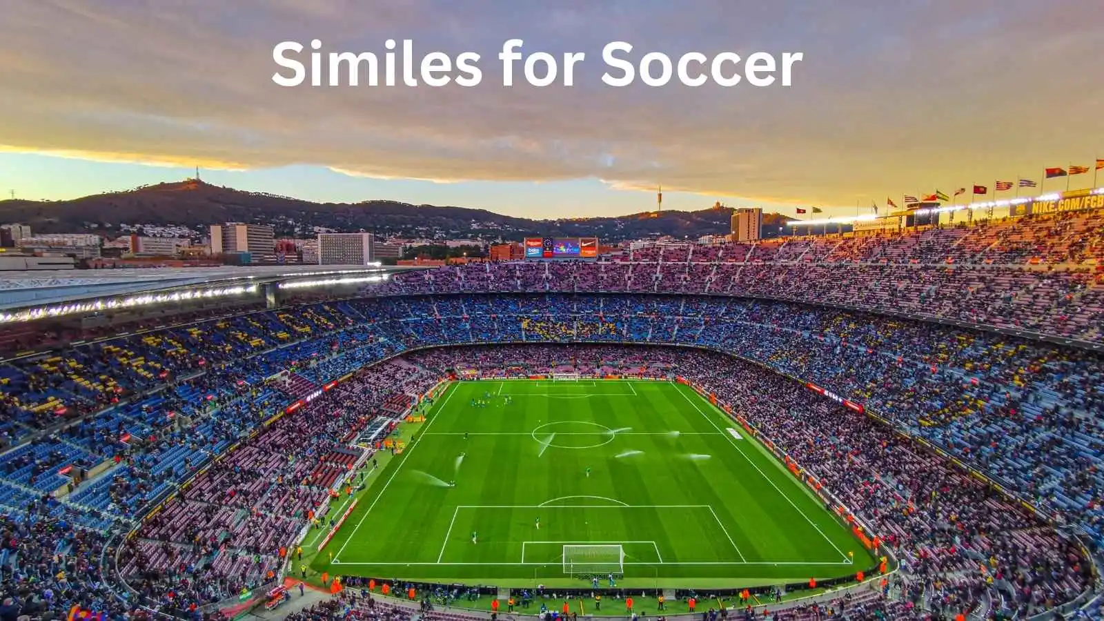 Read more about the article 15+ Similes for Soccer