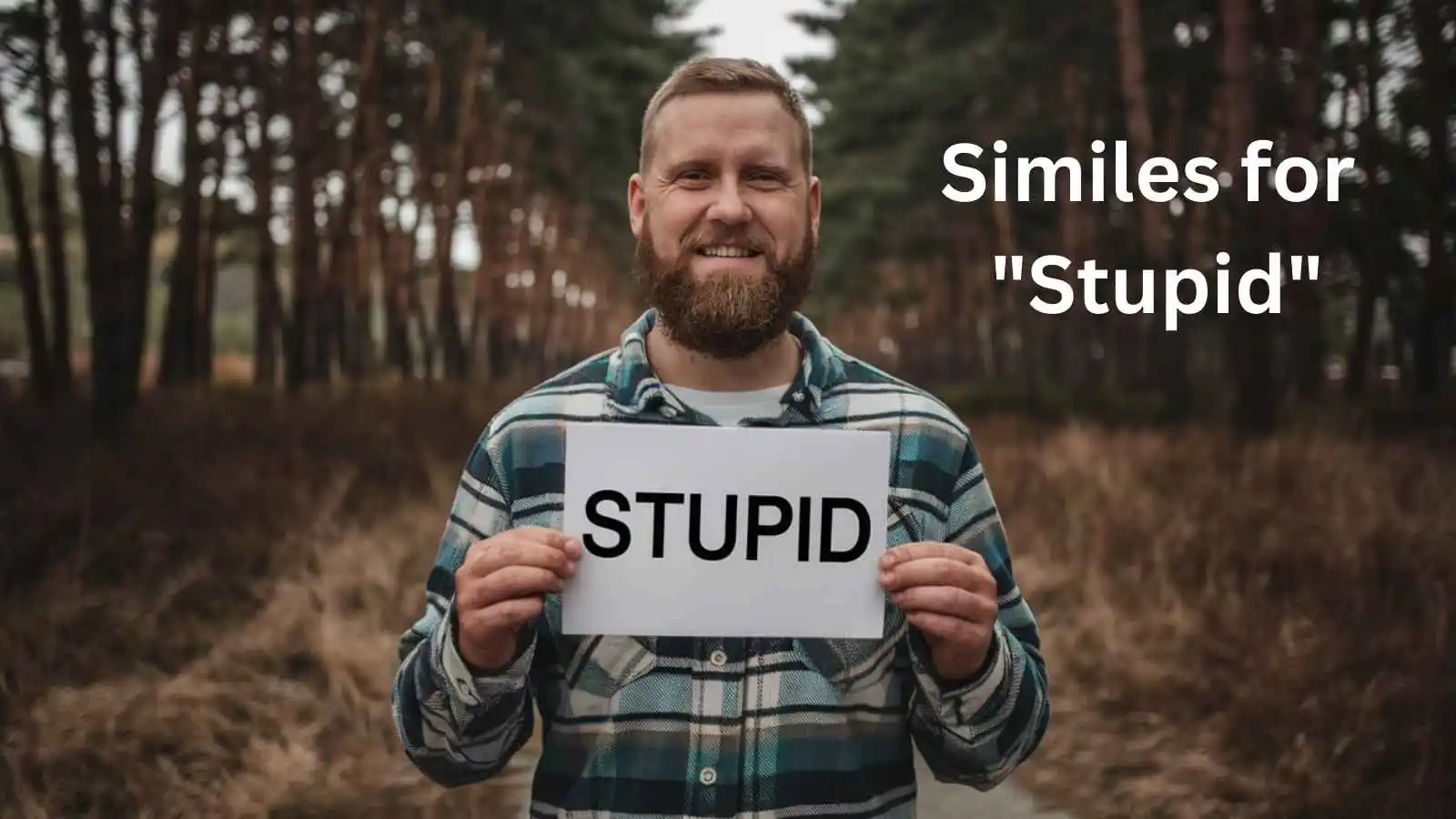 Similes for "Stupid"