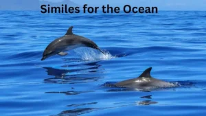 Read more about the article 20+ Similes for the Ocean: Polite, Professional, and Casual Alternatives