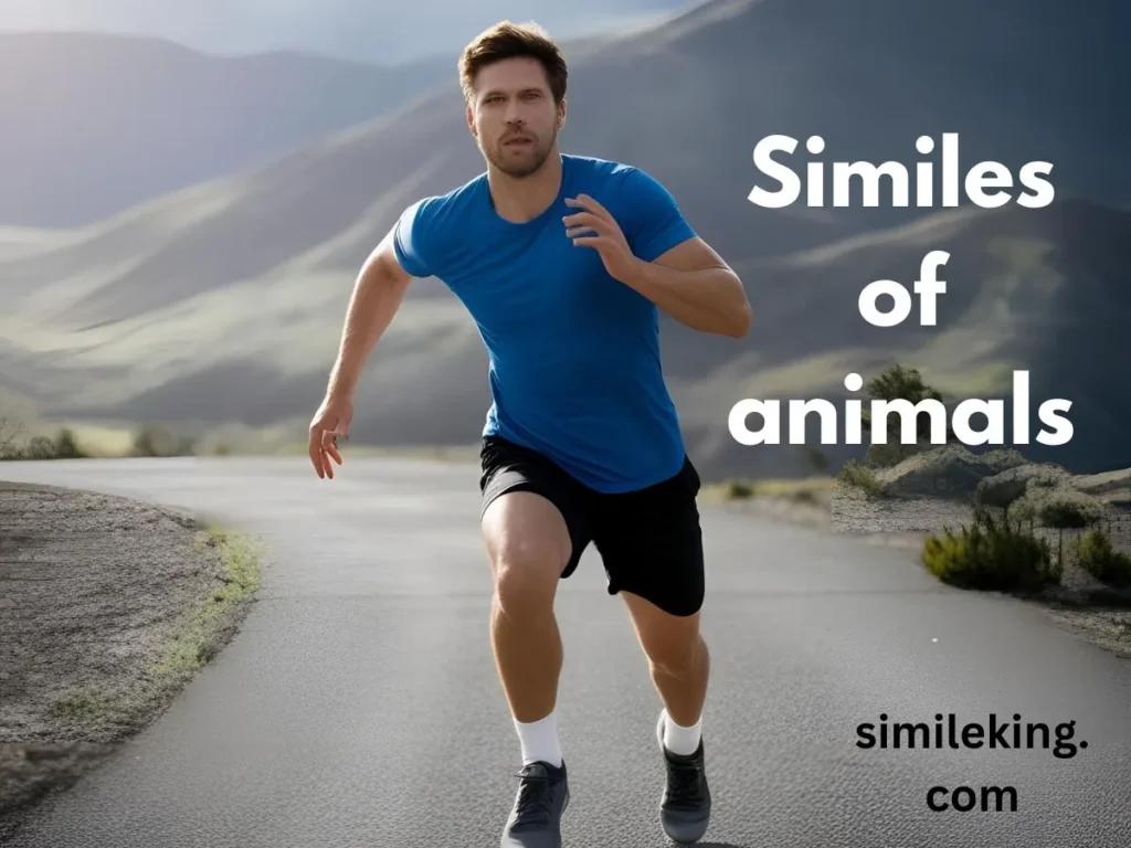 Similes for Energetic