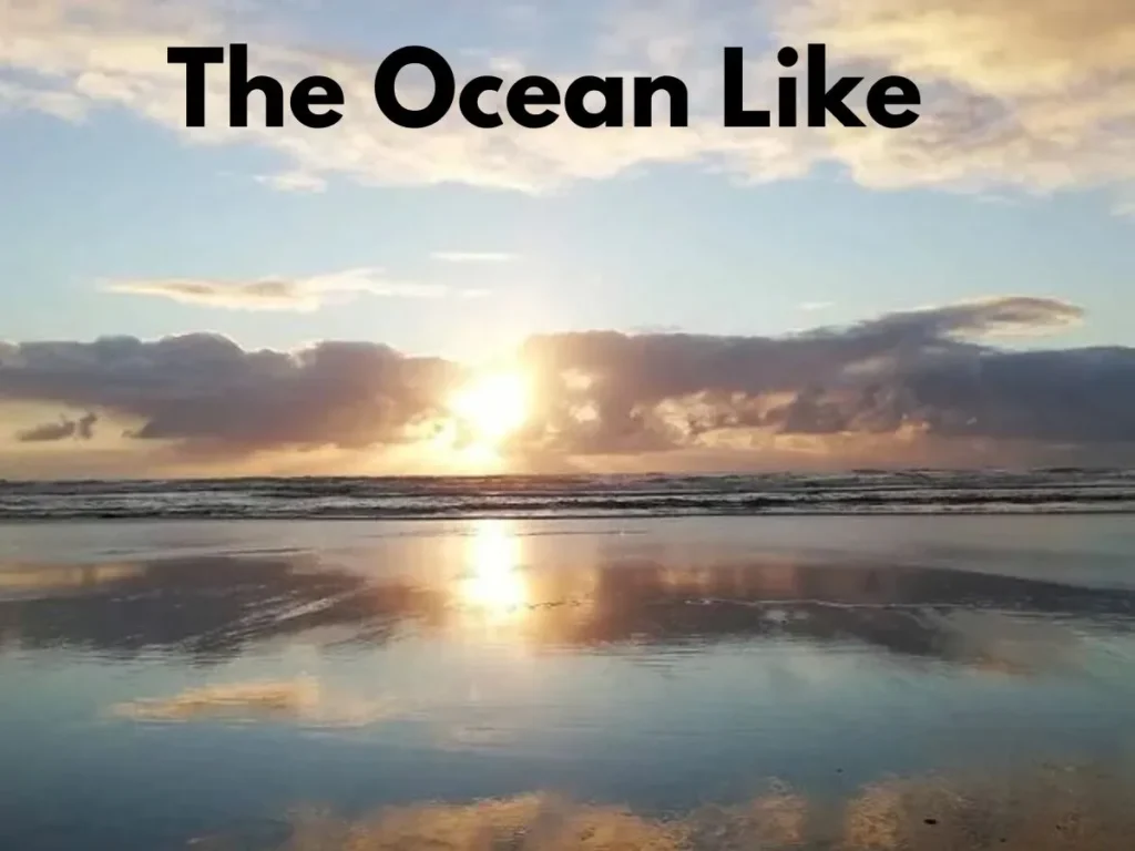 The Ocean Like