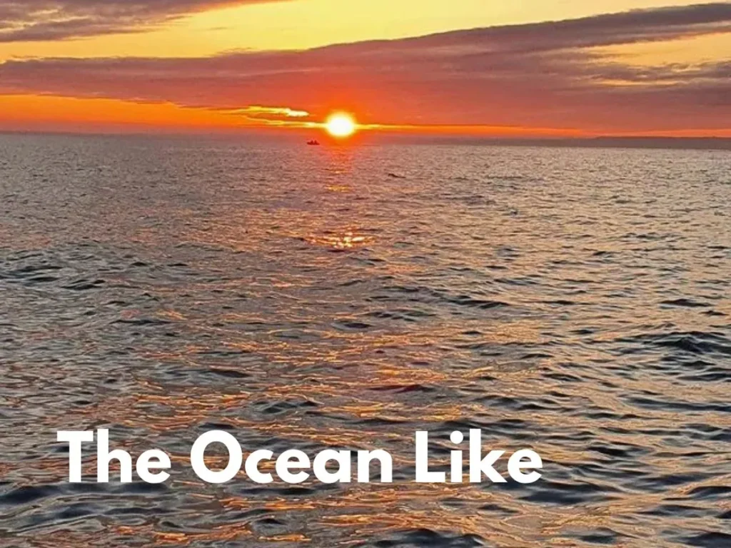 The Ocean Like