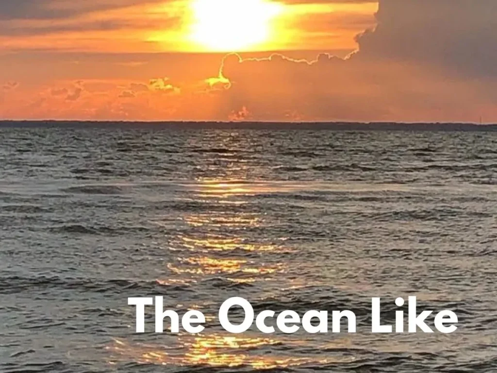 The Ocean Like