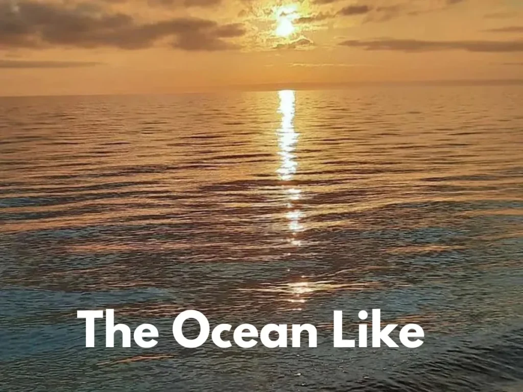 The Ocean Like