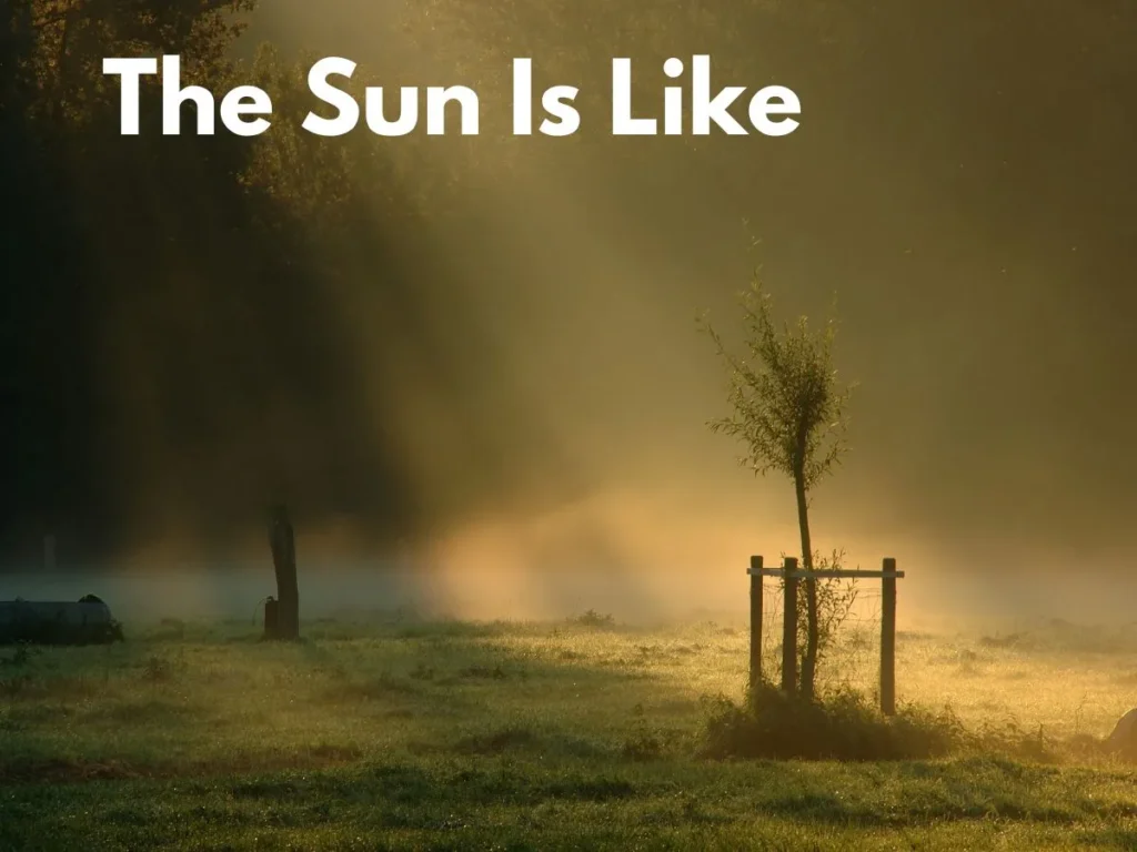 The Sun Is Like
