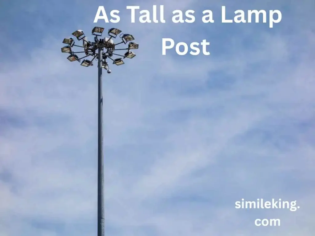 As Tall as a Lamp Post