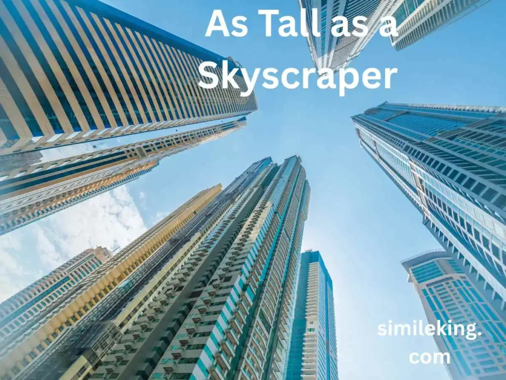 As Tall as a Skyscraper