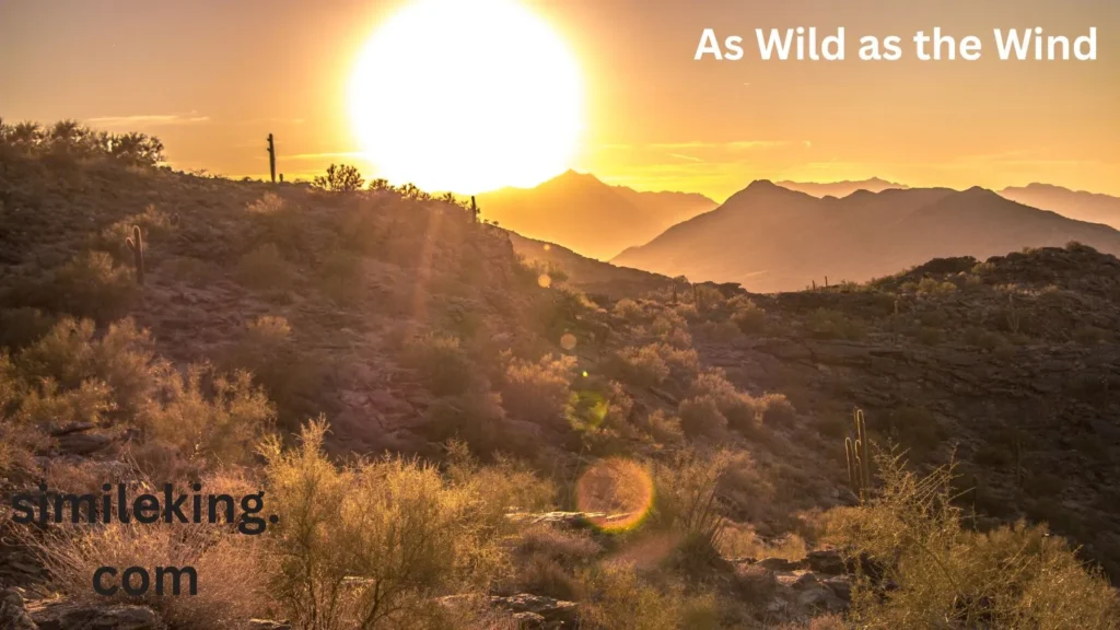 As Wild as the Wind