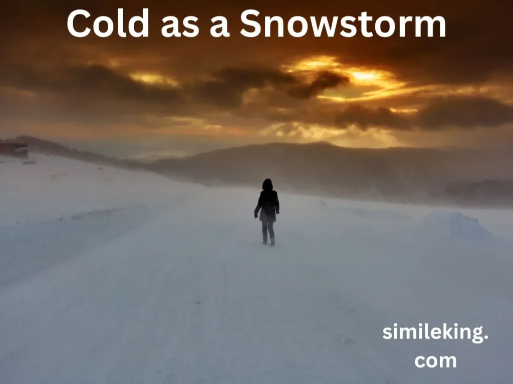 Cold as a Snowstorm