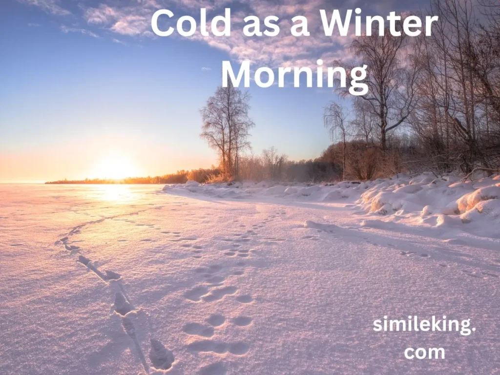 Cold as a Winter Morning