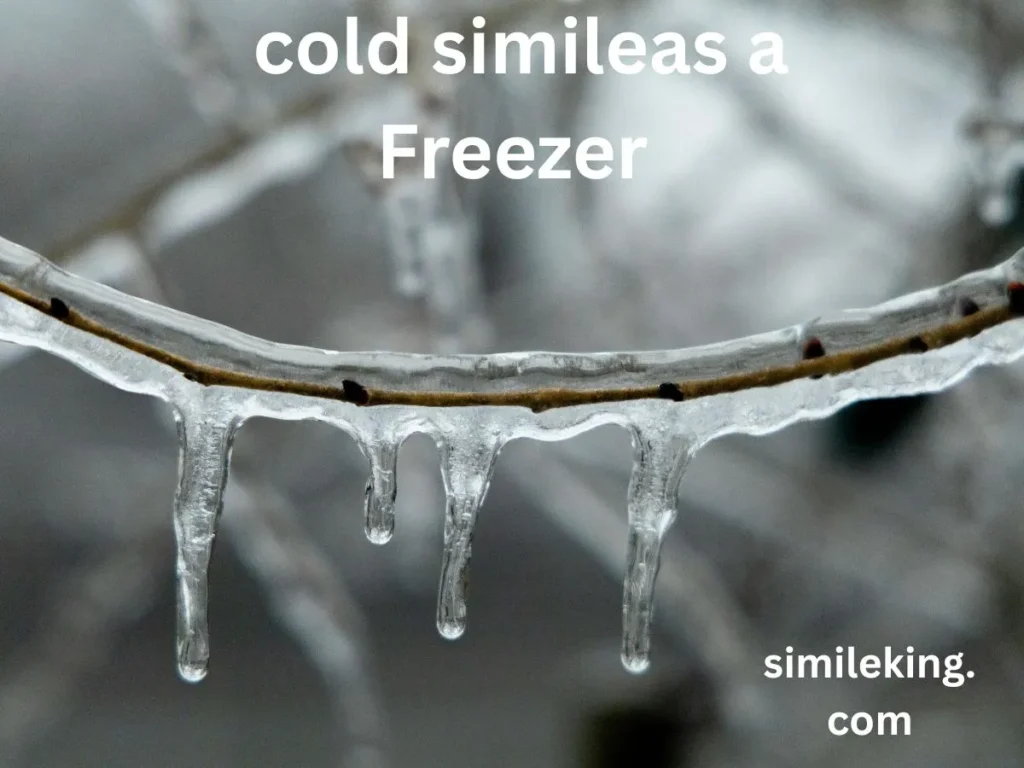 cold simileas a Freezer