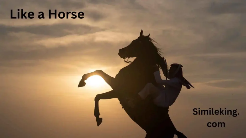 Like a Horse