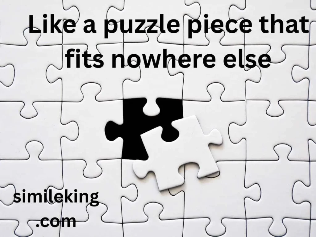 Like a puzzle piece that fits nowhere else