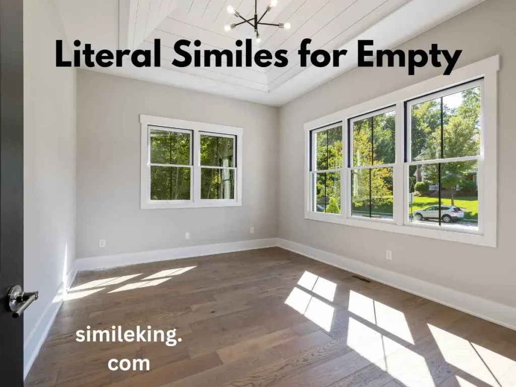 Literal Similes for Empty