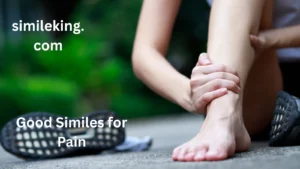 Read more about the article 15+ Good Similes for Pain: Expressing Discomfort with Creativity and Nuance<div class="last-updated" style="font-size:14px; font-weight:bold; color:#444; background:#f5f5f5; padding:10px; border-radius:5px; margin-top:10px; margin-bottom:20px;">
                 Last updated: May 16, 2025 at 3:55 pm by Charles
            </div>