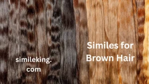 Read more about the article 20+ Similes for Brown Hair<div class="last-updated" style="font-size:14px; font-weight:bold; color:#444; background:#f5f5f5; padding:10px; border-radius:5px; margin-top:10px; margin-bottom:20px;">
                 Last updated: May 19, 2025 at 5:08 am by Charles
            </div>