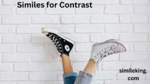 Read more about the article 10+ Similes for Contrast: Polite, Professional, and Casual Alternatives<div class="last-updated" style="font-size:14px; font-weight:bold; color:#444; background:#f5f5f5; padding:10px; border-radius:5px; margin-top:10px; margin-bottom:20px;">
                 Last updated: May 12, 2025 at 4:55 am by Charles
            </div>