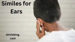 Read more about the article 20+ Similes for Ears