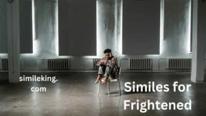 Read more about the article 25+ Similes for Frightened: Creative Ways to Express Fear in English<div class="last-updated" style="font-size:14px; font-weight:bold; color:#444; background:#f5f5f5; padding:10px; border-radius:5px; margin-top:10px; margin-bottom:20px;">
                 Last updated: May 24, 2025 at 7:21 am by Charles
            </div>