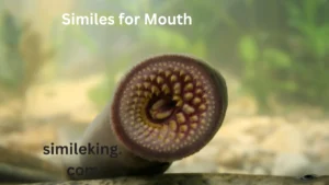 Read more about the article 10+ Similes for Mouth: Expressing It in Different Ways<div class="last-updated" style="font-size:14px; font-weight:bold; color:#444; background:#f5f5f5; padding:10px; border-radius:5px; margin-top:10px; margin-bottom:20px;">
                 Last updated: May 29, 2025 at 5:04 am by Charles
            </div>