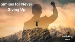 Read more about the article 10+ Similes for Never Giving Up: Polite, Professional, and Casual Alternatives<div class="last-updated" style="font-size:14px; font-weight:bold; color:#444; background:#f5f5f5; padding:10px; border-radius:5px; margin-top:10px; margin-bottom:20px;">
                 Last updated: May 10, 2025 at 6:05 am by Charles
            </div>