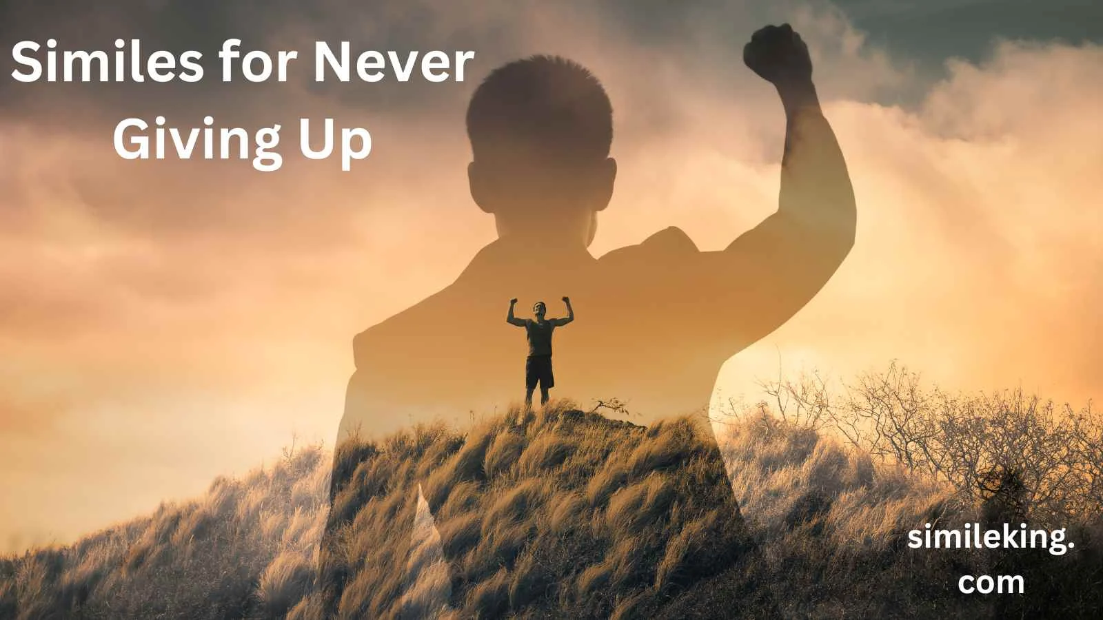 Similes for Never Giving Up