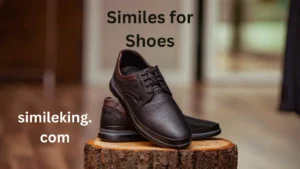 Read more about the article 20+ Similes for Shoes<div class="last-updated" style="font-size:14px; font-weight:bold; color:#444; background:#f5f5f5; padding:10px; border-radius:5px; margin-top:10px; margin-bottom:20px;">
                 Last updated: May 9, 2025 at 3:31 pm by Charles
            </div>