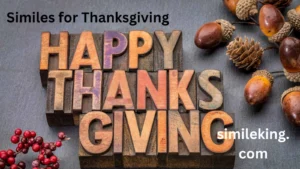 Read more about the article 15+ Similes for Thanksgiving: Expressing Gratitude with Creativity and Warmth<div class="last-updated" style="font-size:14px; font-weight:bold; color:#444; background:#f5f5f5; padding:10px; border-radius:5px; margin-top:10px; margin-bottom:20px;">
                 Last updated: May 21, 2025 at 4:30 am by Charles
            </div>