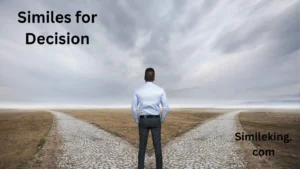 Read more about the article 15 Similes for Decision: Examples, Poems, and Casual Alternatives<div class="last-updated" style="font-size:14px; font-weight:bold; color:#444; background:#f5f5f5; padding:10px; border-radius:5px; margin-top:10px; margin-bottom:20px;">
                 Last updated: June 22, 2025 at 4:31 am by Charles
            </div>