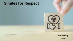 Read more about the article 20 Similes for Respect: Examples, Poems, and Casual Alternatives<div class="last-updated" style="font-size:14px; font-weight:bold; color:#444; background:#f5f5f5; padding:10px; border-radius:5px; margin-top:10px; margin-bottom:20px;">
                 Last updated: June 24, 2025 at 4:05 am by Charles
            </div>