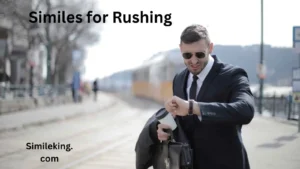 Read more about the article 25 Similes for Rushing: Examples, Poems, and Casual Alternatives<div class="last-updated" style="font-size:14px; font-weight:bold; color:#444; background:#f5f5f5; padding:10px; border-radius:5px; margin-top:10px; margin-bottom:20px;">
                 Last updated: June 22, 2025 at 4:37 am by Charles
            </div>
